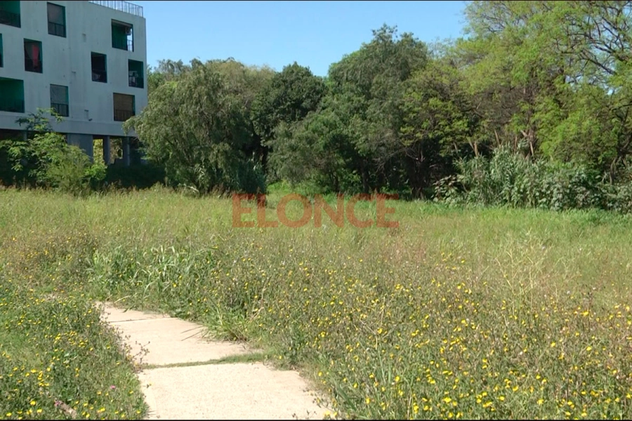 Advierten sobre el riesgo de dengue