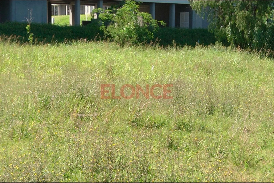 Presencia de grandes malezas