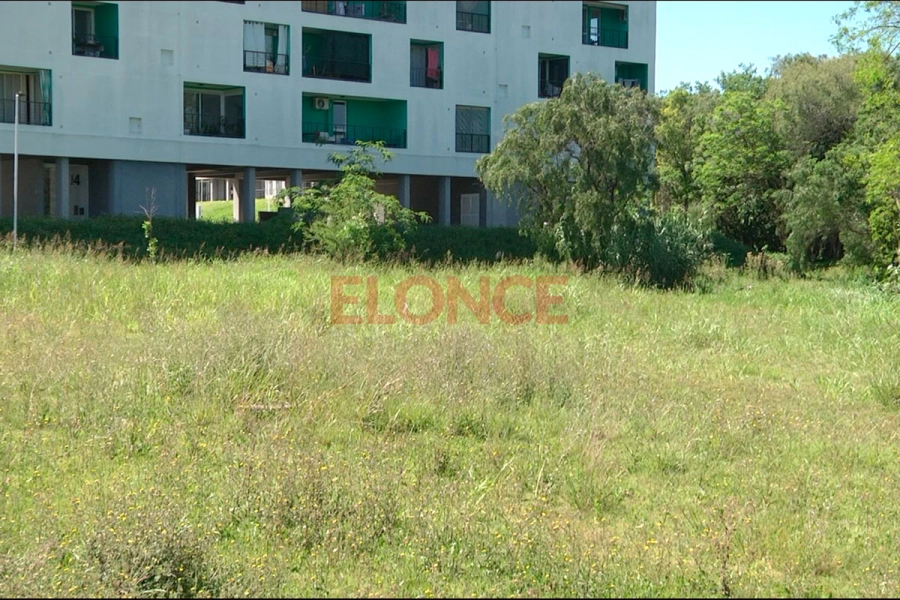 Vecinos del barrio Procrear exigen corte de pasto