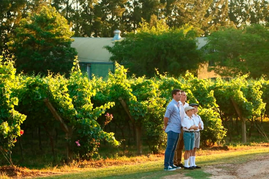 Bodega Vulliez Sermet, de Col&oacute;n