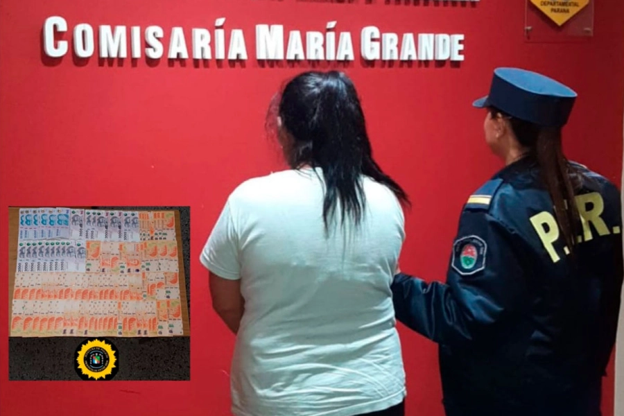 Denunci&oacute; que "una mujer de su confianza" le rob&oacute;