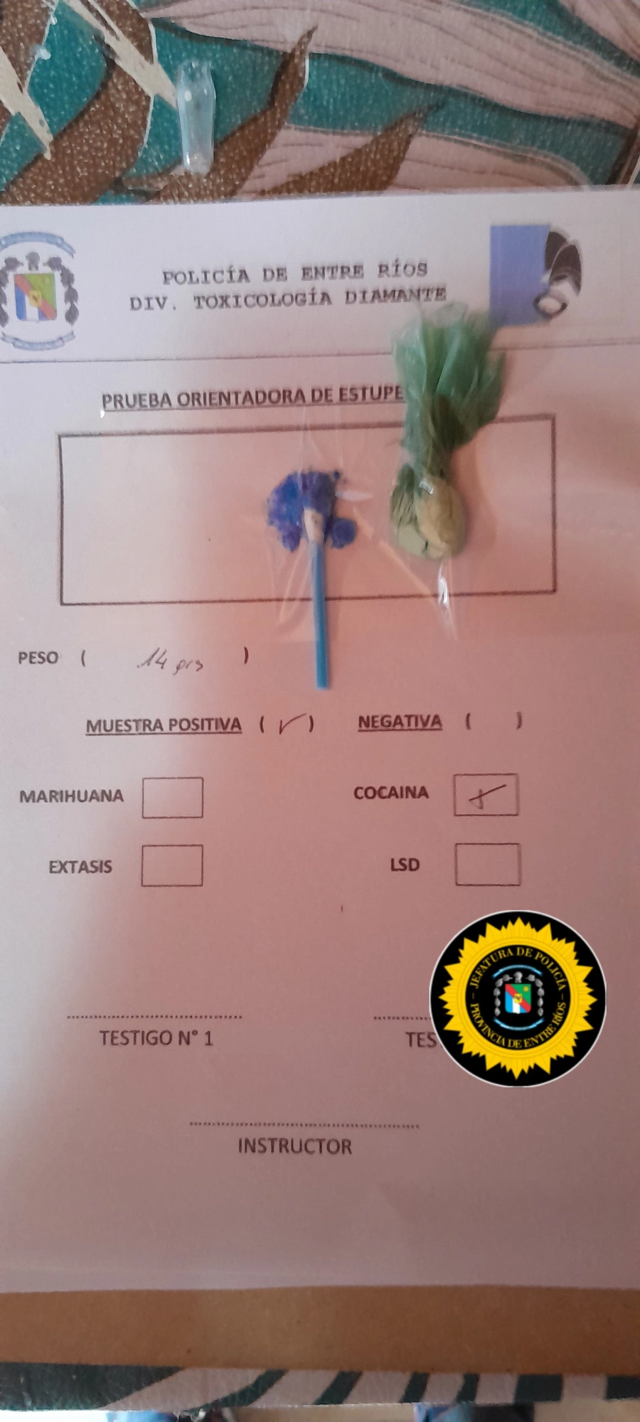 La droga incautada. (foto: Polic&iacute;a de Entre R&iacute;os)