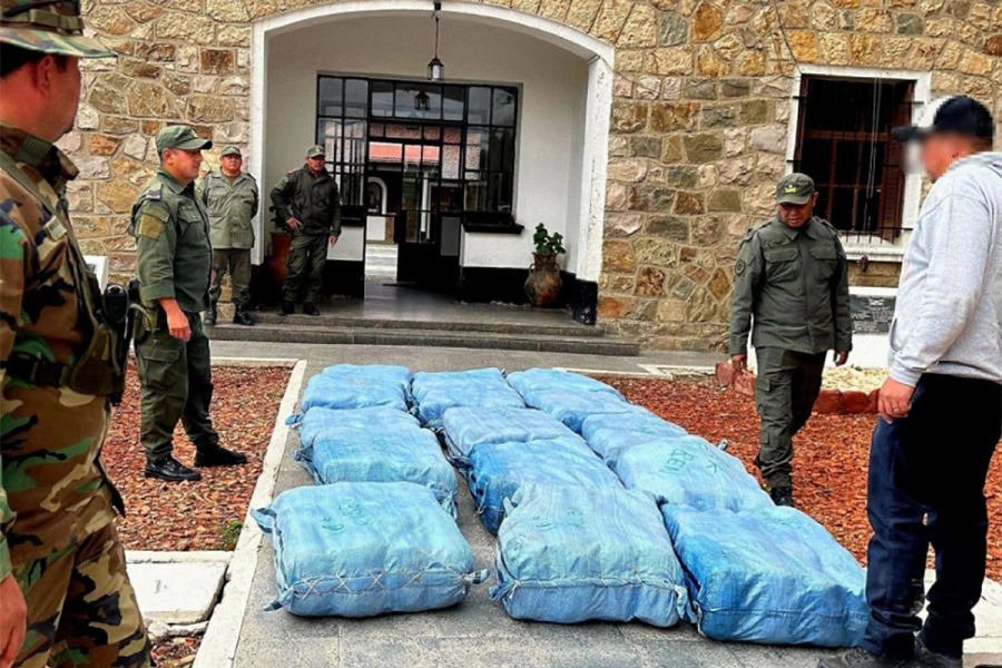La marihuana hallada en Jujuy. Gendarmer&iacute;a Nacional