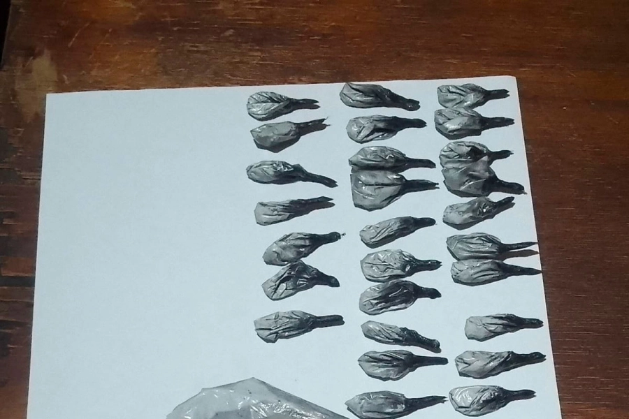 Foto: Divisi&oacute;n Toxicolog&iacute;a