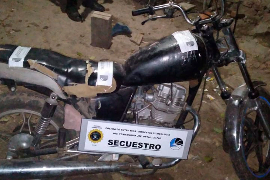 Foto: Divisi&oacute;n Toxicolog&iacute;a