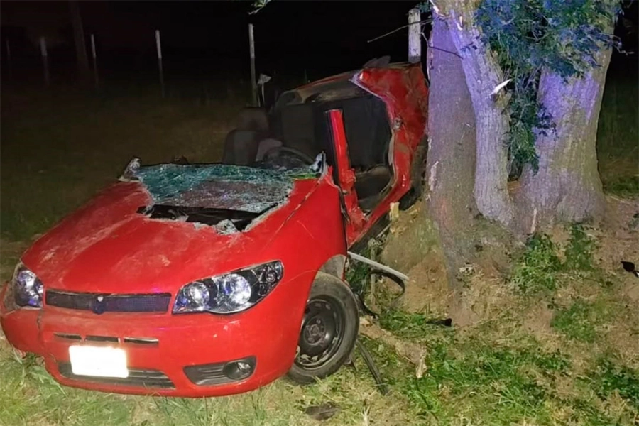Un muerto y tres heridos al chocar un auto contra un &aacute;rbol. (foto: Sol Play)