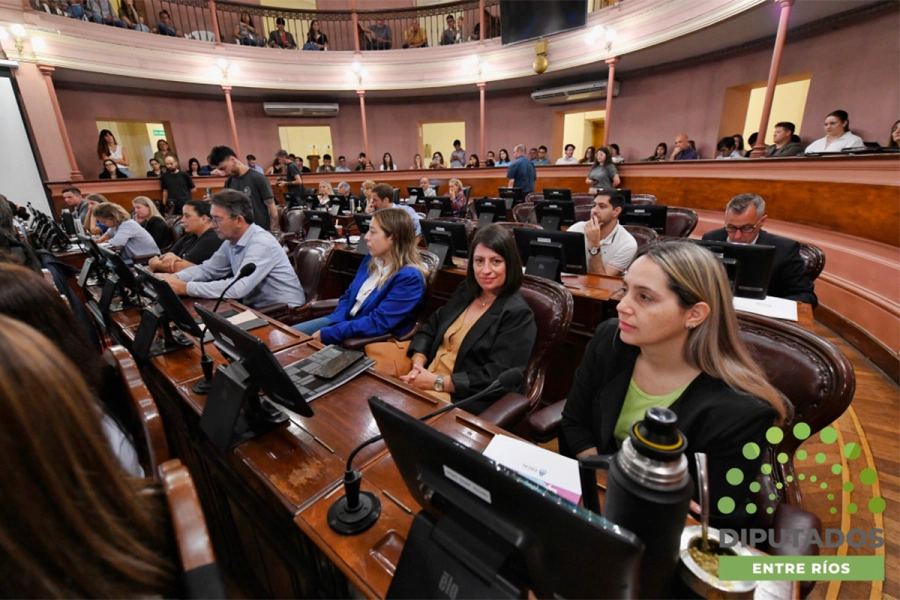 La formaci&oacute;n es para legisladores y personal de la C&aacute;mara