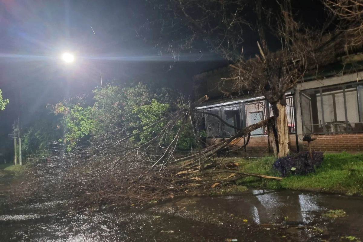 Temporal en Concepción del Uruguay