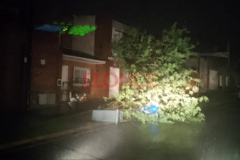 El temporal de fuertes vientos causó caída de árboles en Paraná Campaña