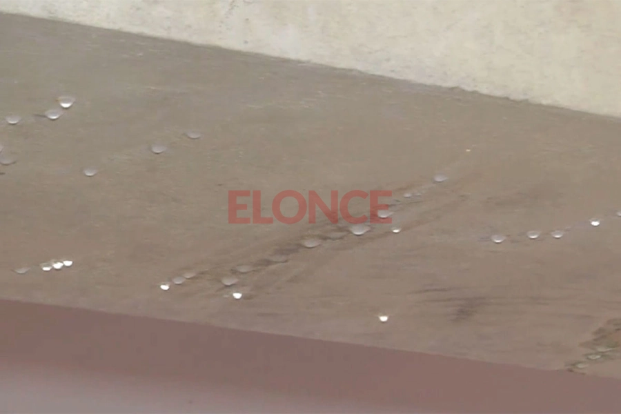 Escuela Baz&aacute;n y Bustos