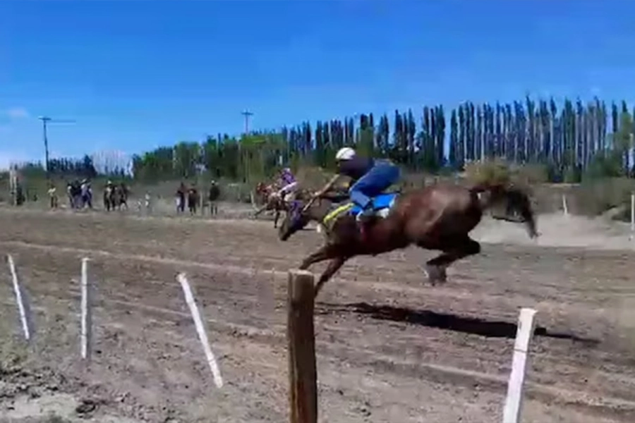 Su tr&aacute;gica muerte dej&oacute; un vac&iacute;o en el mundo de la h&iacute;pica.