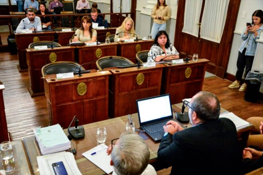 Senadores analizan el presupuesto. (Senado E.R)