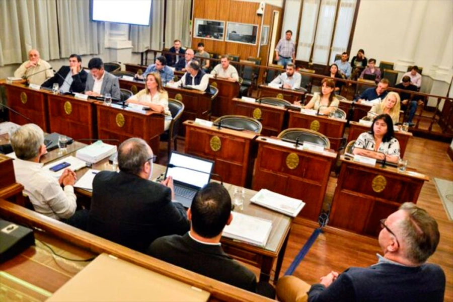 Tratan el proyecto en comisi&oacute;n. (Senado E.R)