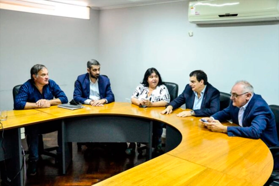 An&aacute;lisis de las audiencias p&uacute;blicas. (Senado E.R)