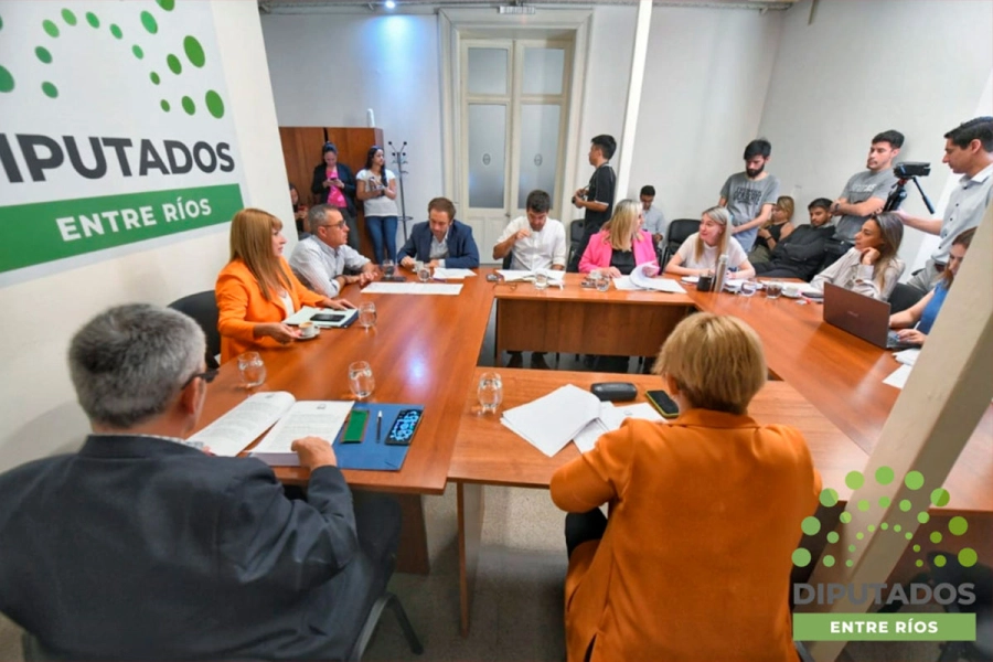 Trabajo en comisi&oacute;n. (Diputados ER).