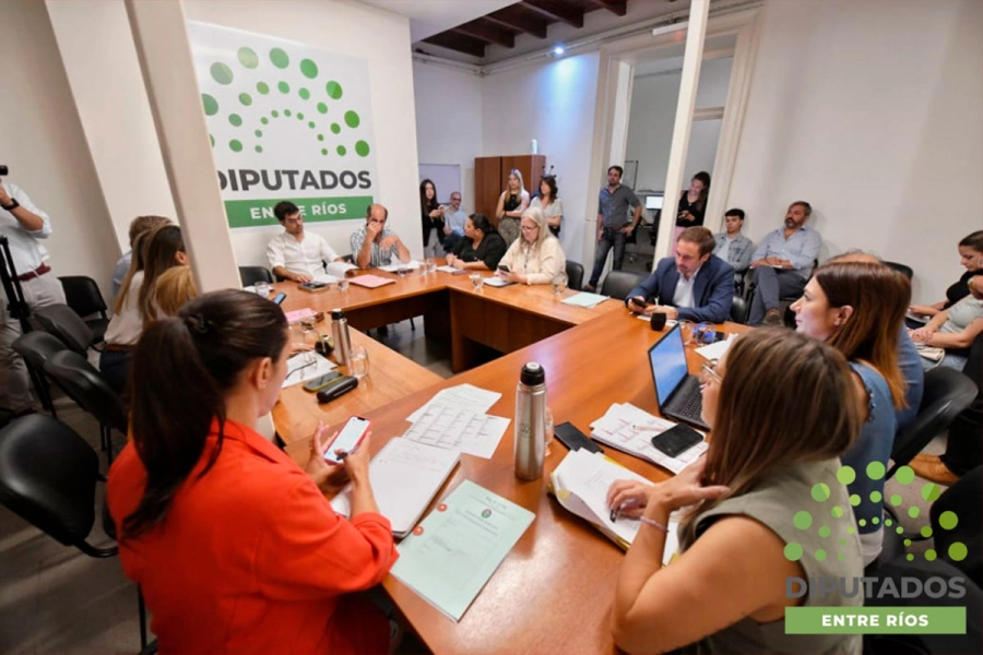 Trabajan en comisi&oacute;n. (Diputados ER).