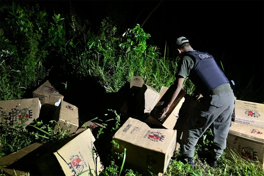 Cigarrillos incautados en Misiones. Gendarmer&iacute;a Nacional