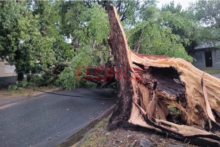 Violentísimo temporal con fuertes vientos y lluvias a la madrugada en Paraná