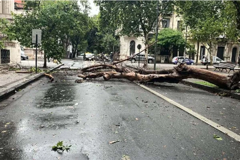 La ciudad de Rosario también se vio afectada por un fuerte temporal: vientos de hasta 110 km/h