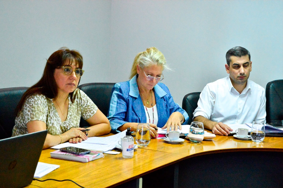 Senadores tratan el proyecto. (SER).