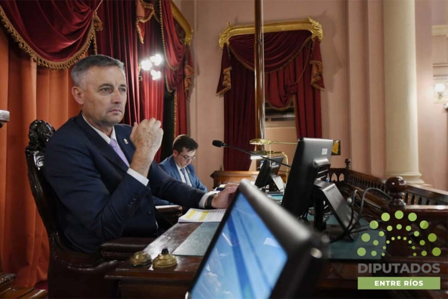 El presidente de C&aacute;mara Baja, Gustavo Hein