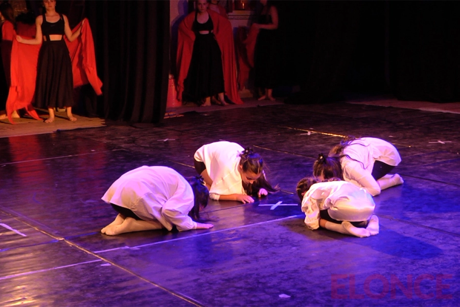 La instituci&oacute;n fue creada y es dirigida por Florencia Fern&aacute;ndez. (foto: Elonce)