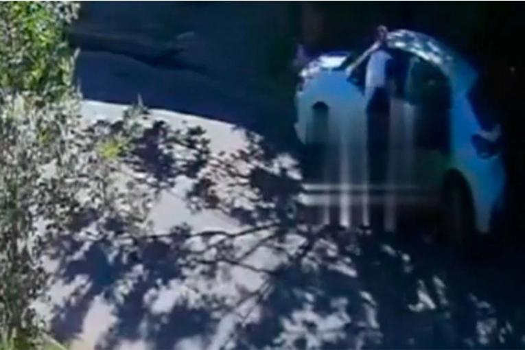 Le mordieron la muñeca y lo golpearon con un arma para robarle el auto