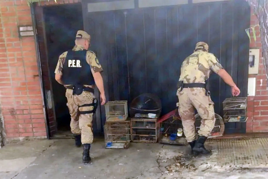 El procedimiento en vivienda de Paran&aacute;. Foto: Polic&iacute;a