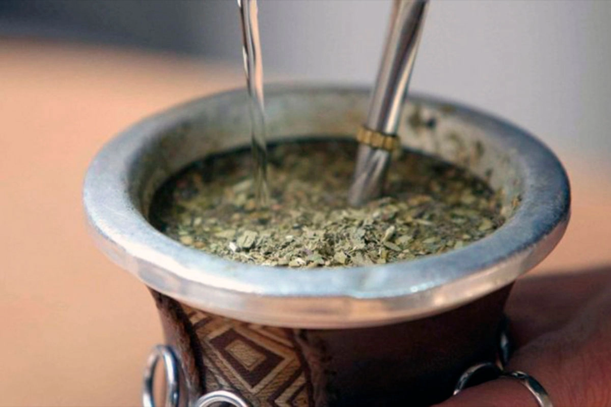 Descifraron el ADN de la yerba mate. Descifraron el ADN de la yerba mate.