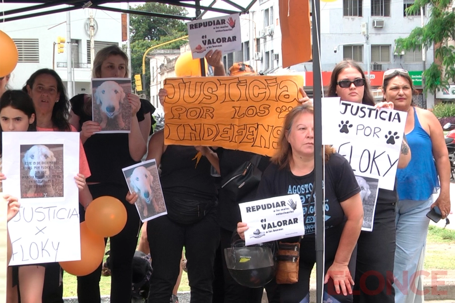 Justicia por Floky y los sin voz