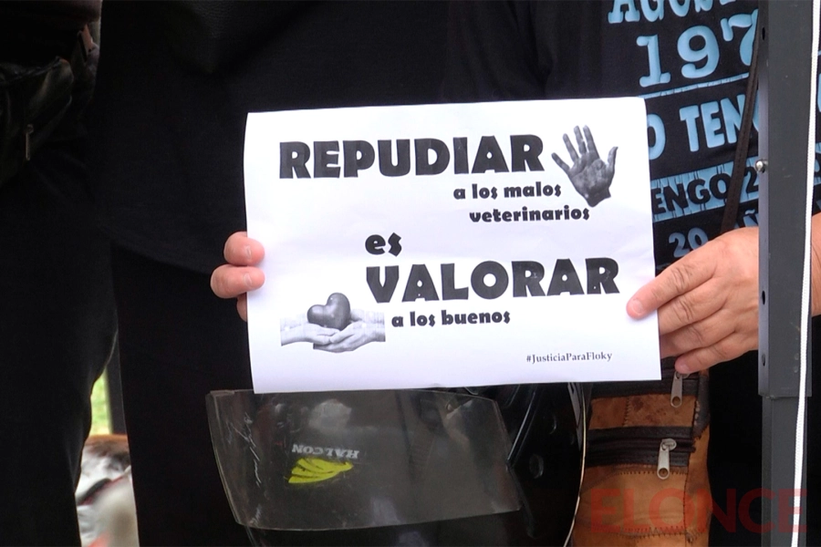 Proteccionistas repudian el maltrato animal