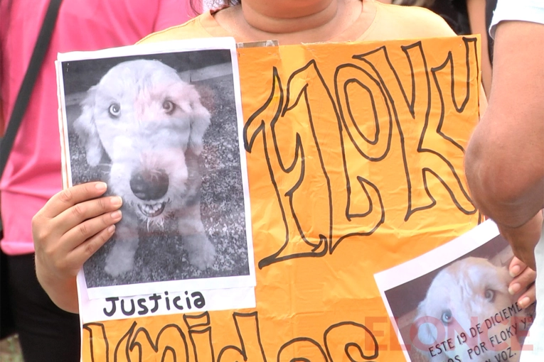 Con una manifestación frente a Tribunales pidieron “justicia por Floky” en Paraná