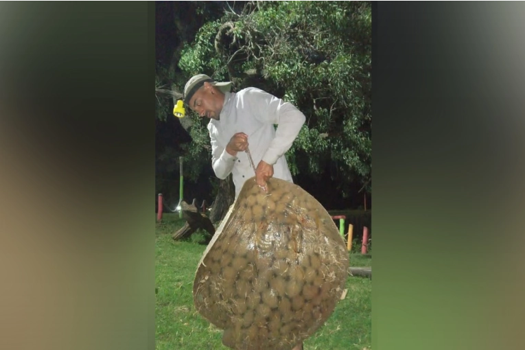 Pescaron una raya de 48 kilos en Puerto Ibicuy este fin de semana