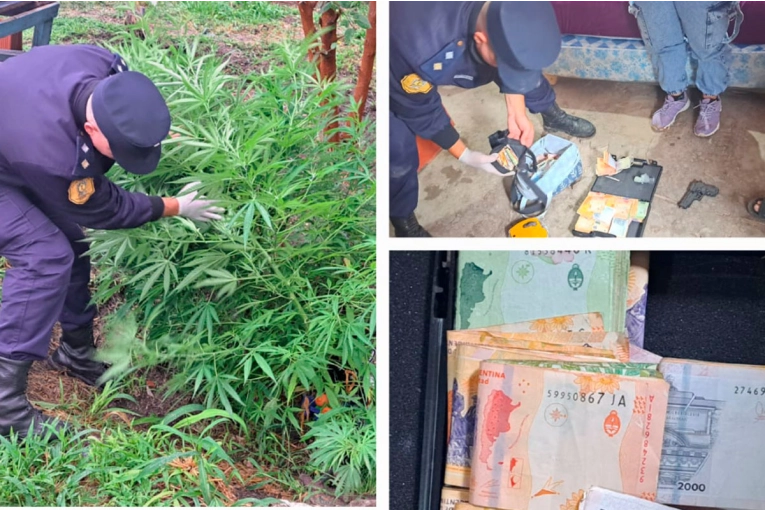 Incautaron más de medio millón de pesos, marihuana y cocaína tras allanamiento en Paraná