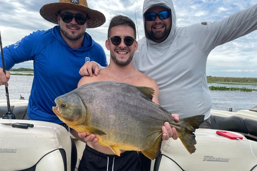 Enorme pac&uacute; pescado en Corrientes. Foto: Actualidad Esquina