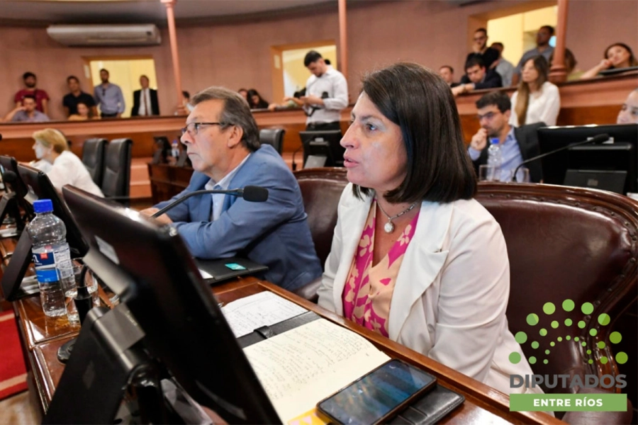 Valoraciones de los legisladores tras la sanci&oacute;n de la reforma electoral. (foto: Diputados de Entre R&iacute;os)