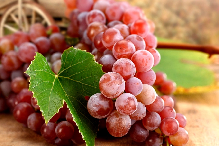 El ritual de las uvas se realiza en A&ntilde;o Nuevo. Archivo