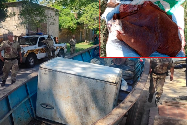 Dos detenidos por faena ilegal de vacuno que llevaban en un freezer a bordo de la canoa