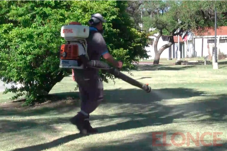 Invasión de mosquitos en Paraná: fumigan en zonas sensibles de la ciudad