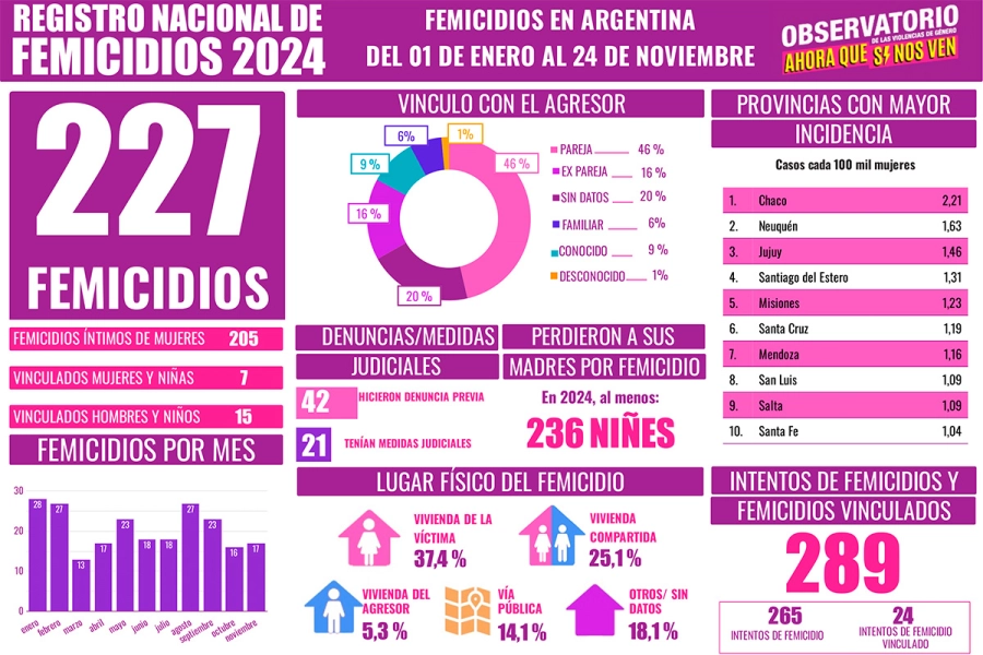 Durante 2024 se registraron 267 femicidios. (informe del Observatorio de Violencias de G&eacute;nero &ldquo;Ahora que s&iacute; nos ven&rdquo;)