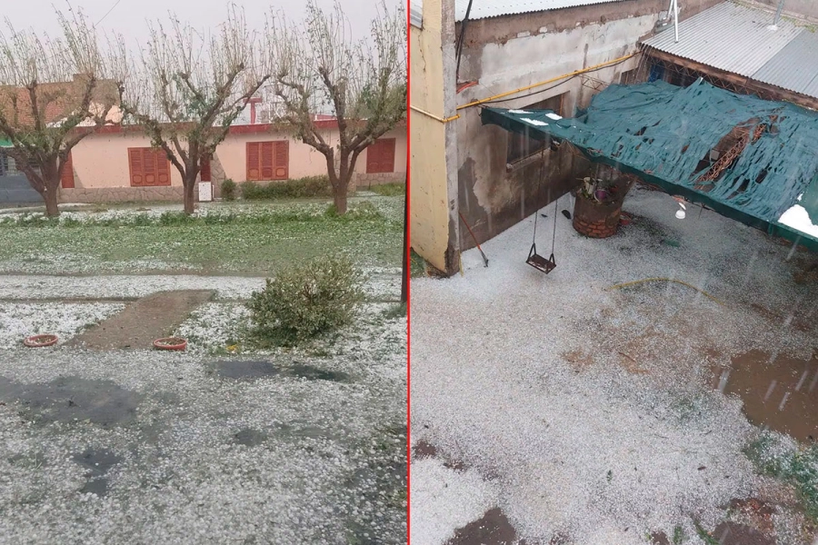 Daños por granizo en cultivos.