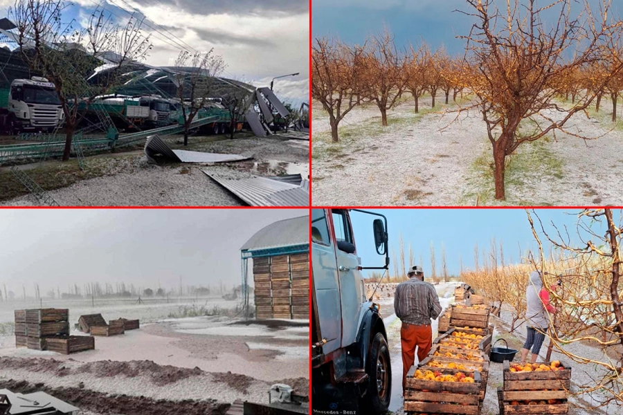 Importantes da&ntilde;os fueron provocados por la tormenta.