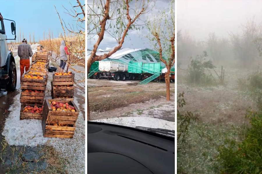El granizo afect&oacute; a zonas cultivadas de Mendoza. (Los Andes)
