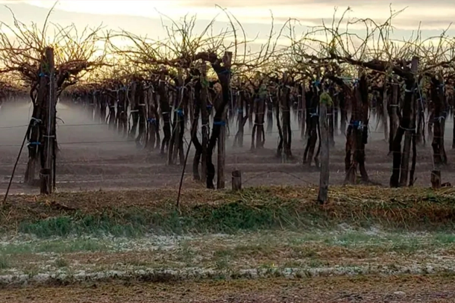 La tormenta caus&oacute; importantes destrozos en cultivos de San Rafael. (Sitio Andino)