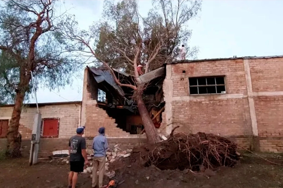 San Rafael, el departamento m&aacute;s afectado por el temporal. (Sitio Andino)