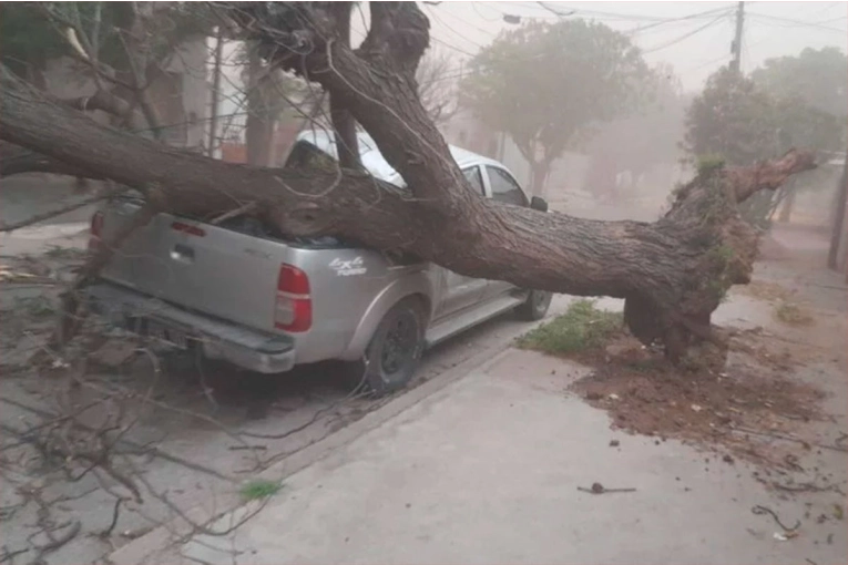 Fuerte temporal con granizo y ráfagas de 120 km/h azotó San Luis y provocó destrozos