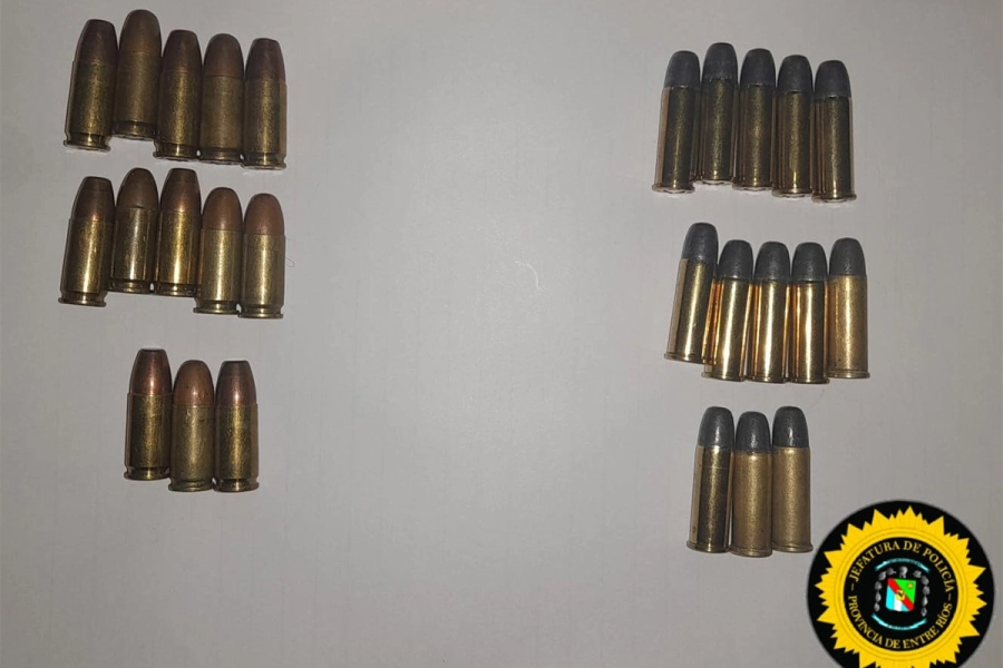 Los cartuchos secuestrados