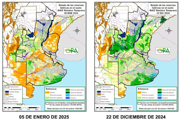 La ola de calor pone al campo en situación de alarma: para cuándo pronostican lluvias