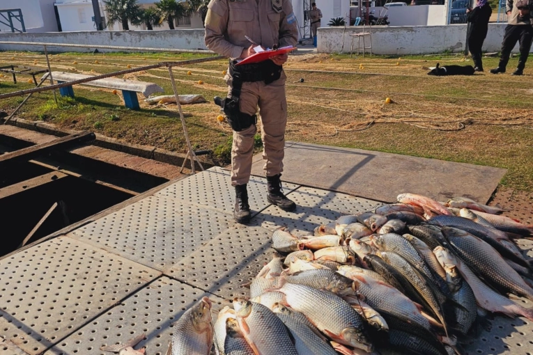 Durante el 2024 decomisaron más de 70.000 metros de mallas de pesca ilegales