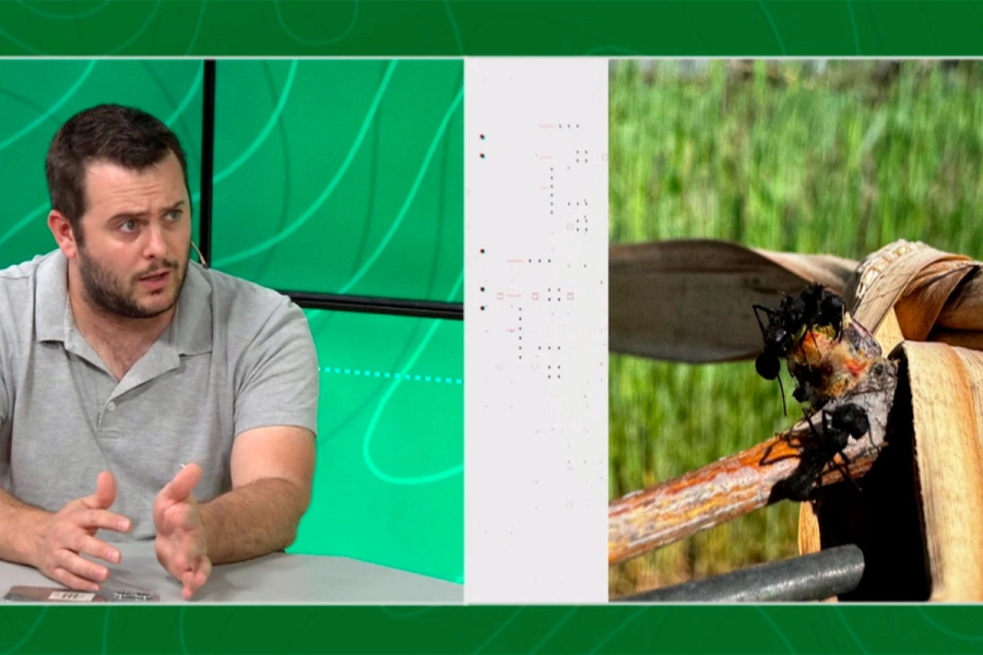 Juli&aacute;n Sabattini